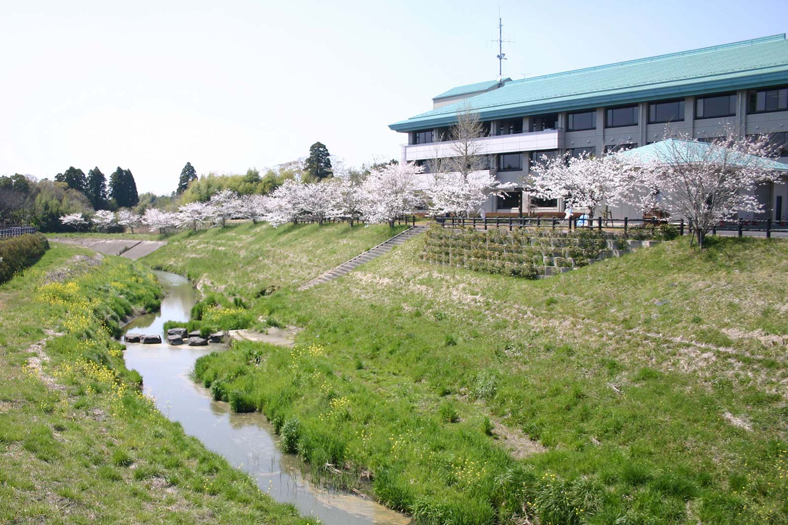 千葉県睦沢町