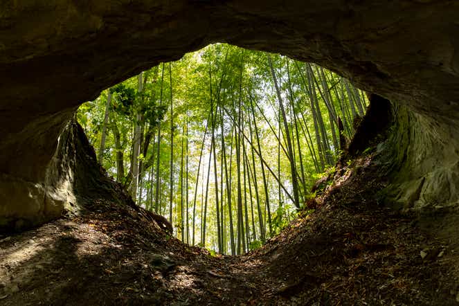 諏訪神社の瞳のトンネル