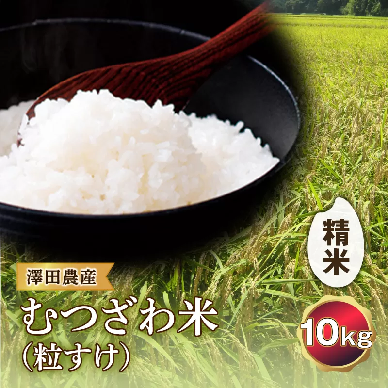 令和5年産米 むつざわ米（粒すけ）精米 10kg 澤田農産 F21G-190