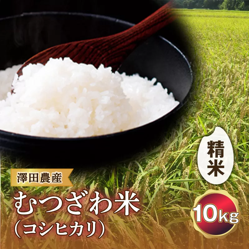 令和5年産米 むつざわ米（コシヒカリ）精米 10kg 澤田農産 F21G-174