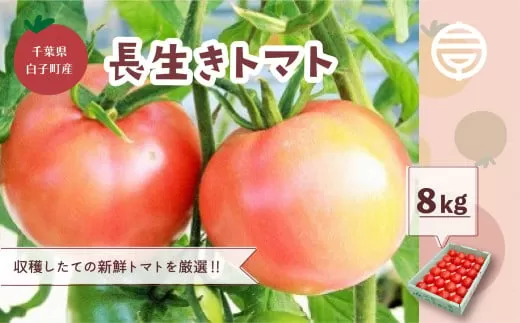 千葉県長生トマト8kg SHK004