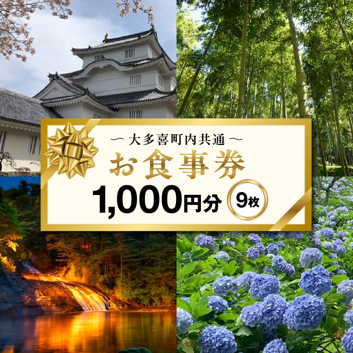 大多喜町内共通お食事券1000円分×9枚 W03303