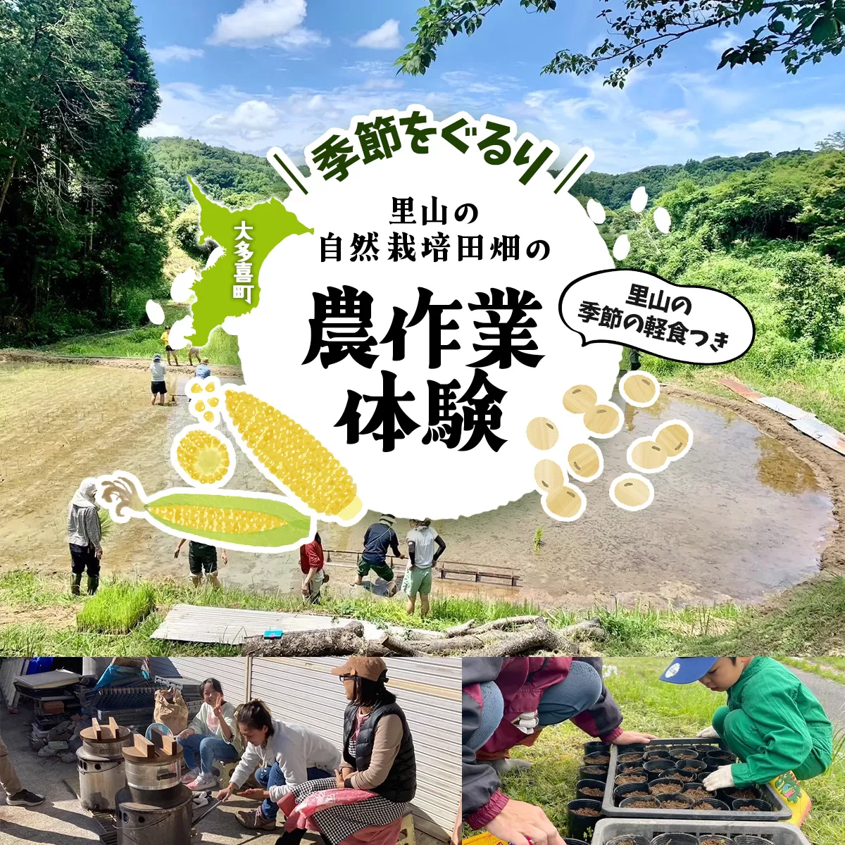 W03508 季節をぐるり 里山の無農薬•無肥料栽培田畑の農作業体験 里山の季節の軽食つき ふるさと納税 農作業 農作物 体験 田んぼ 自然 自然体験 年3回 千葉県 大多喜町