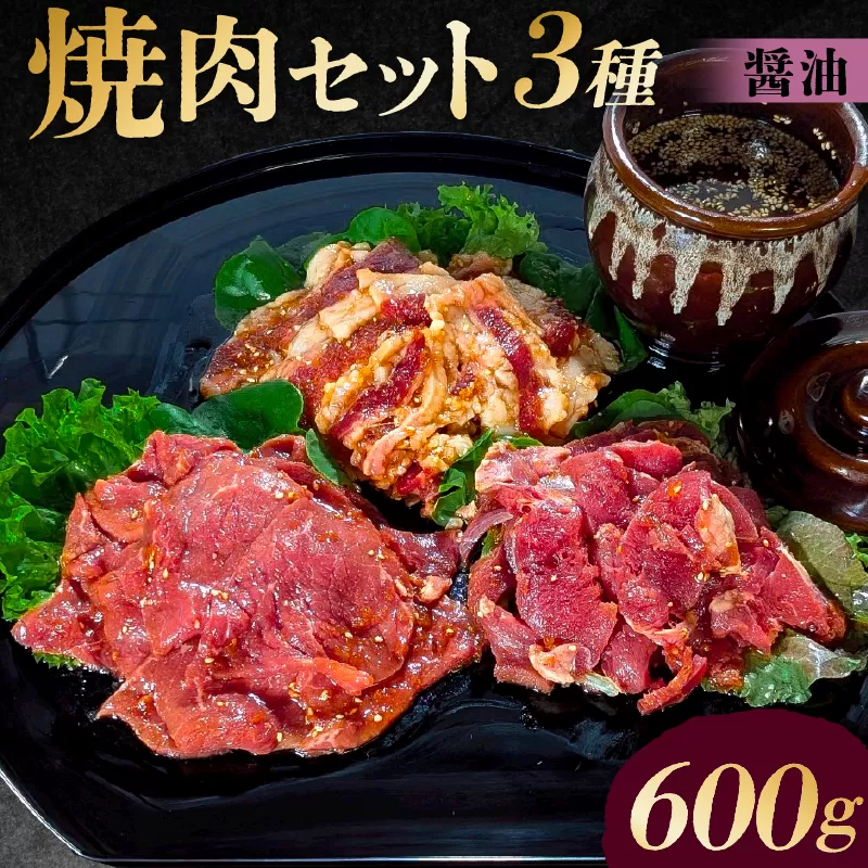 焼肉セット3種（醤油）【195016】味付け 醤油 簡単 600g BBQ バーベキュー 牛モモ 牛カルビ 牛ウデ 小分け 冷凍保存