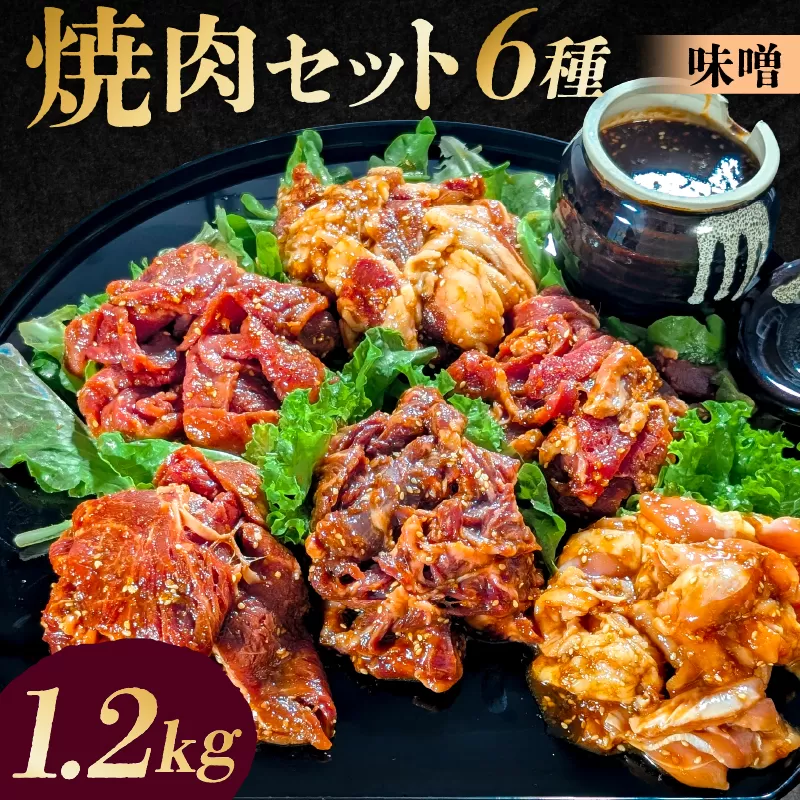 焼肉セット6種（味噌）【195014】味付け 味噌 簡単 1.2kg BBQ バーベキュー 牛モモ 牛カルビ 牛ウデ 牛肩ロース 牛さがり 鶏もも 小分け 冷凍保存