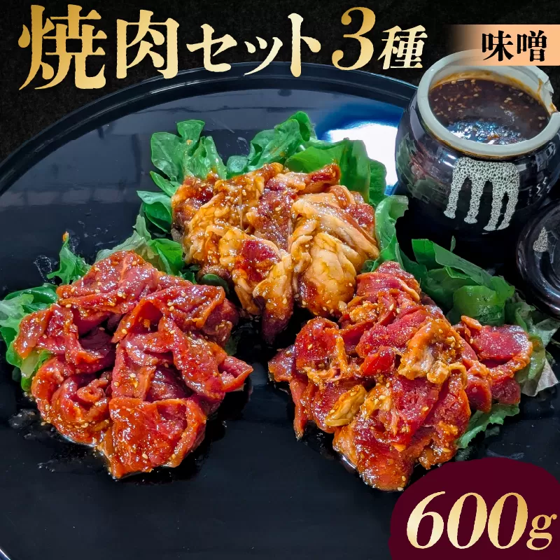 焼肉セット3種（味噌）【195017】 味付け 味噌 簡単 600g BBQ バーベキュー 牛モモ 牛カルビ 牛ウデ 小分け 冷凍保存