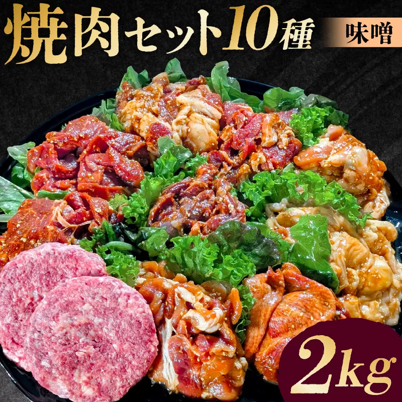 焼肉セット10種（味噌）【195011】味付け 味噌 簡単 2kg BBQ バーベキュー 牛タン 牛カルビ 牛ウデ 牛肩ロース 牛さがり 豚トロ ハンバーグ ホルモン 鶏もも 豚カルビ 小分け 冷凍保存