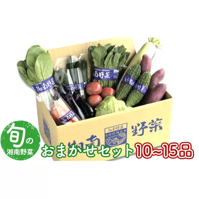 野菜セット 旬の湘南野菜おまかせセット※10月1日以降のお申込みについては12月以降順次発送予定