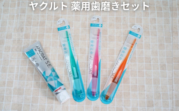 歯ブラシ ヤクルト 薬用 歯磨き セット 歯磨き粉 薬用歯磨き粉 