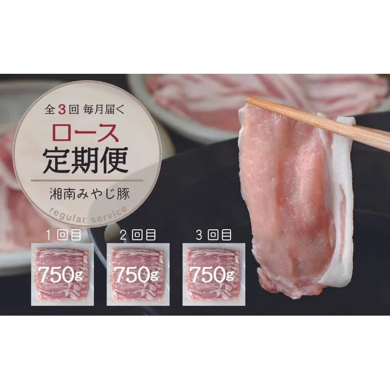 【毎月定期便】ブランド豚肉 みやじ豚ロース750g しゃぶしゃぶ肉 すき焼き 鍋　全3回