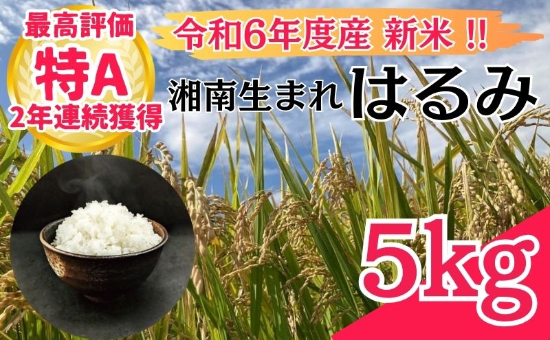神奈川県はるみ米令和6年新米20kg 精米