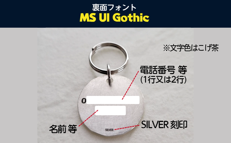 JAL ダイヤモンド会員 プレートケース ネームタグ