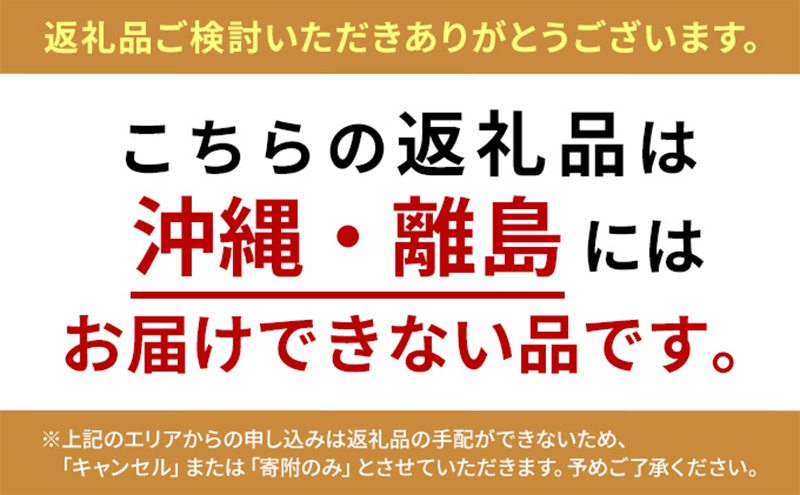 歯ブラシ ヤクルト 薬用 歯磨き セット 歯磨き粉 薬用歯磨き粉