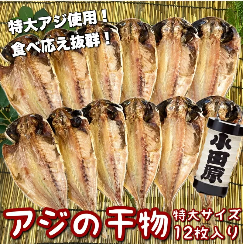 鯵の干物 特大サイズ 12枚セット