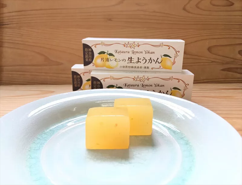 小田原老舗和菓子店の手づくり片浦レモンの生ようかん【和菓子店 手作りようかん 片浦レモンの生ようかん  職人の手作り 神奈川県指定銘菓 レモン 和スイーツ   神奈川県 小田原市 】