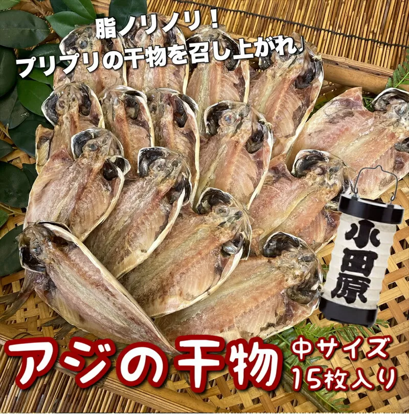 鯵の干物 中サイズ 15枚セット