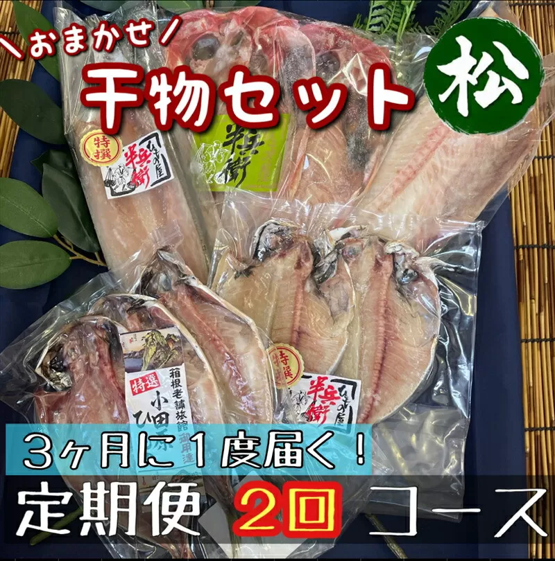 【3ヶ月に1回定期便2回】厳選！小田原の旬の干物セット 松【 まぐろや 神奈川県小田原市 】