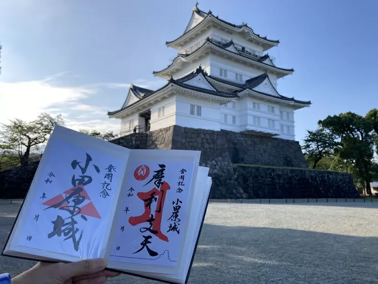 小田原城御城印・御城印帳セット【小田原 小田原城 御城印 三鱗 家紋 北条氏 摩利支天 小田原城オリジナル 蛇腹式製本 来城記念 登城記念 記念品 大久保氏　朱印 虎朱印 印判 シンプルデザイン 神奈川県 小田原市 】