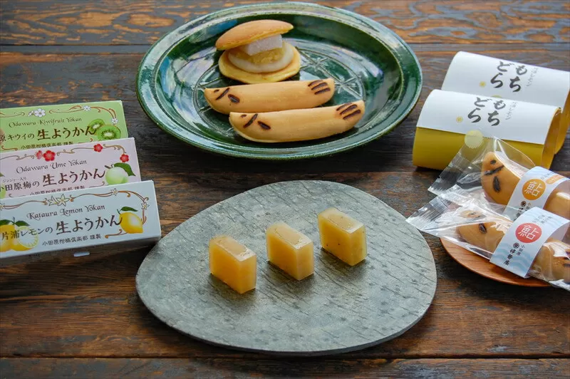 【夏限定】老舗小田原伊勢屋　小田原の夏を感じる和菓子セット〈出荷時期:2025年6月15日～2025年8月31日〉【 和菓子店 神奈川県 小田原市 】