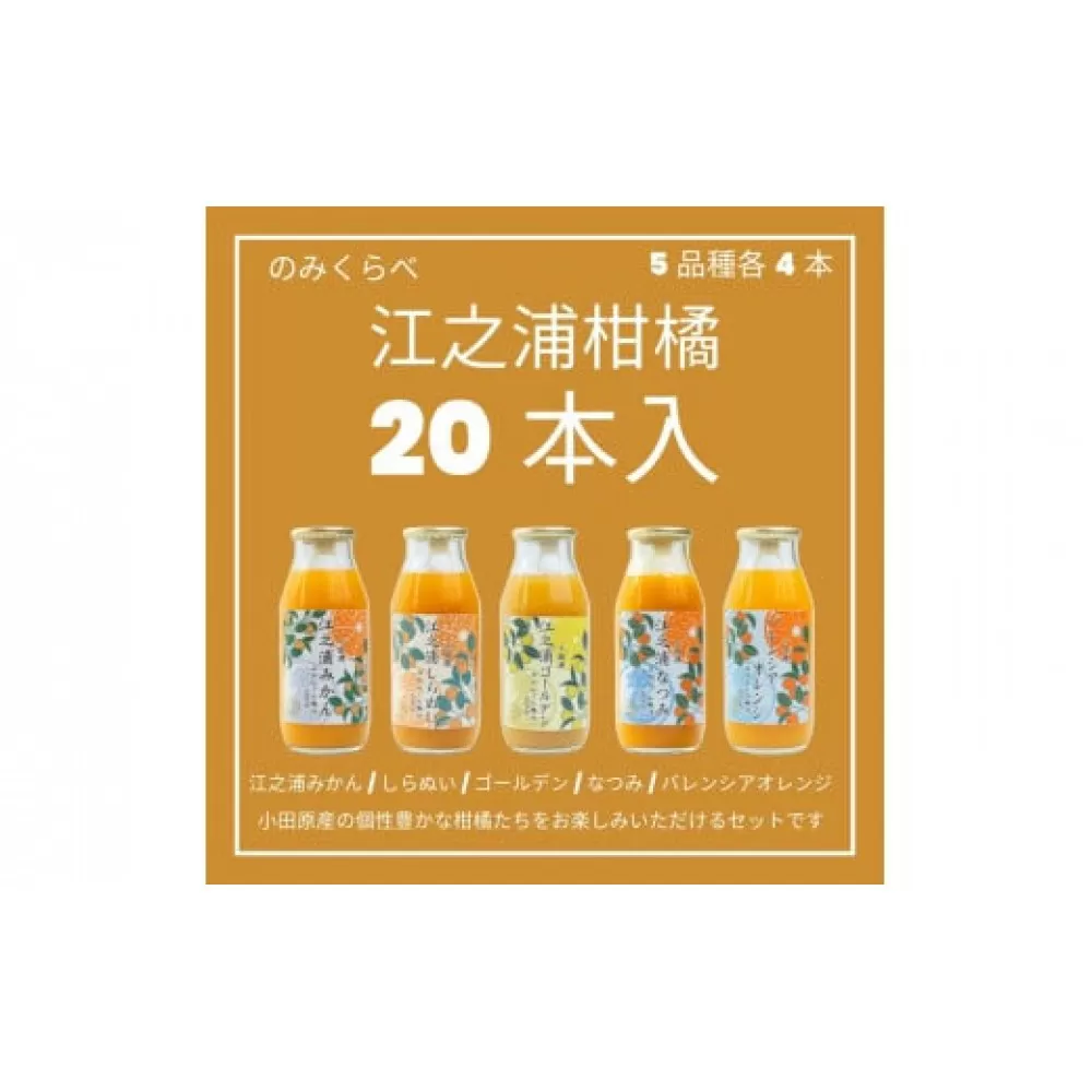 小田原産江之浦みかんジュース５種のみくらべ2０本セット うんしゅう・しらぬい・ゴールデン・なつみ・バレンシアオレンジ１００％ストレートジュース１８０ml各４本合計２０本