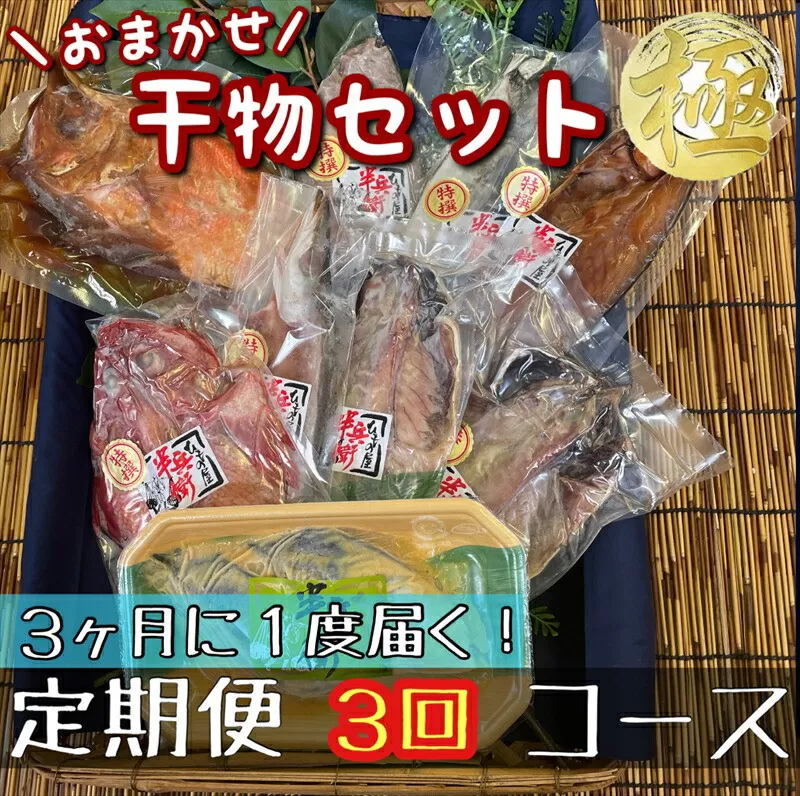 【3ヶ月に1回定期便3回】厳選！小田原の旬の干物セット 極【 まぐろや 神奈川県小田原市 】