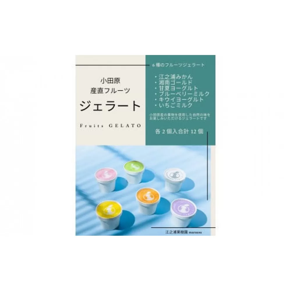 小田原産江之浦ジェラート６種（みかん、湘南ゴールド、ブルーベリーミルク、いちごミルク、キウイヨーグルト、甘夏ヨーグルト）120mlカップ各２個合計１２個