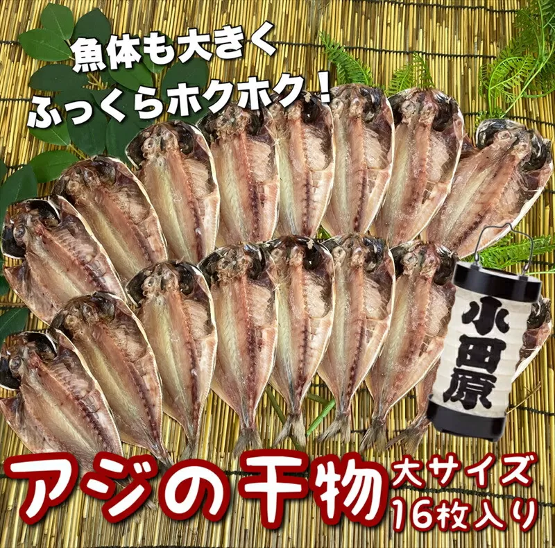 鯵の干物 大サイズ 16枚セット