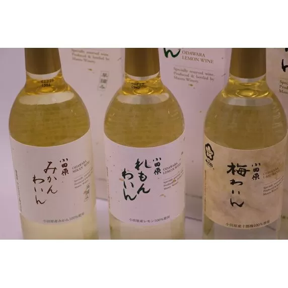 城下町小田原の飲み比べわいんCセット(3本セット)