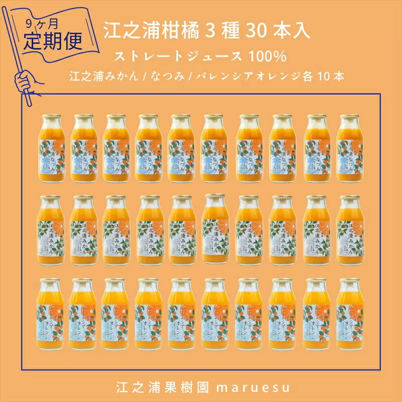 【定期便 9回】 小田原産江之浦みかんジュース３種のみくらべ３０本セット うんしゅう・なつみ・バレンシアオレンジ１００％ストレートジュース１８０ml各１０本合計３０本