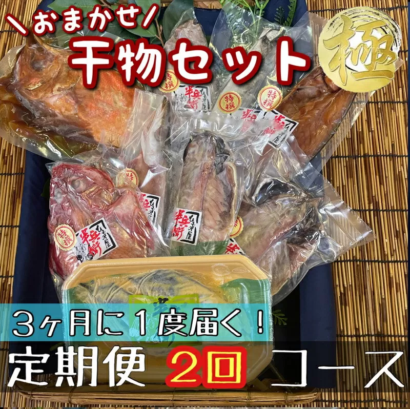 【3ヶ月に1回定期便2回】厳選！小田原の旬の干物セット 極【 まぐろや 神奈川県小田原市 】