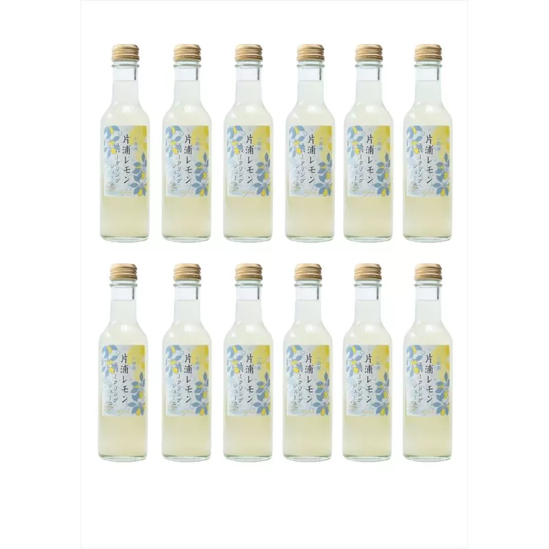 小田原産片浦レモンスパークリング果汁入り飲料果汁１０％２００ml１２本【 神奈川県 小田原市 】