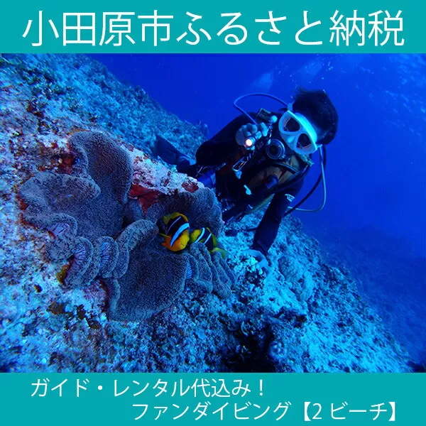 ガイド・レンタル代込み!ファンダイビング[2ビーチ]ご招待券