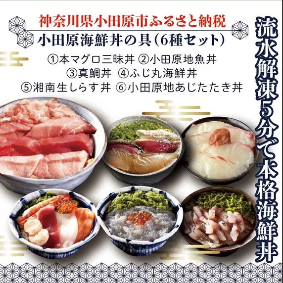 【高級食材本マグロ、曽我の梅干し、小田原地あじ、小田原港直送地魚丼、大磯港直送、湘南生しらす】小田原海鮮丼の具（6種セット）