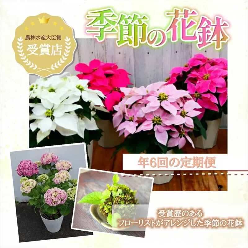 【定期便年6回　季節の花鉢】農林水産大臣賞を受賞したフローリストがアレンジする 季節を知らせる花鉢【 花 お花 神奈川県 小田原市 】