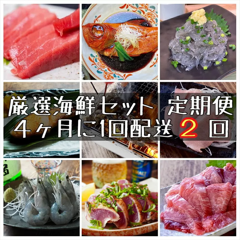 【4ヶ月に1度 2回配送 定期便】まぐろや　特別セット【 惣菜 まぐろ 鮪 本鮪 サーモン 海老 お刺身 海鮮 セット 福袋 キンメ きんめ お取り寄せ 御中元 お中元 お歳暮 父の日 母の日 贈り物 日本酒 焼酎】【神奈川県小田原市】