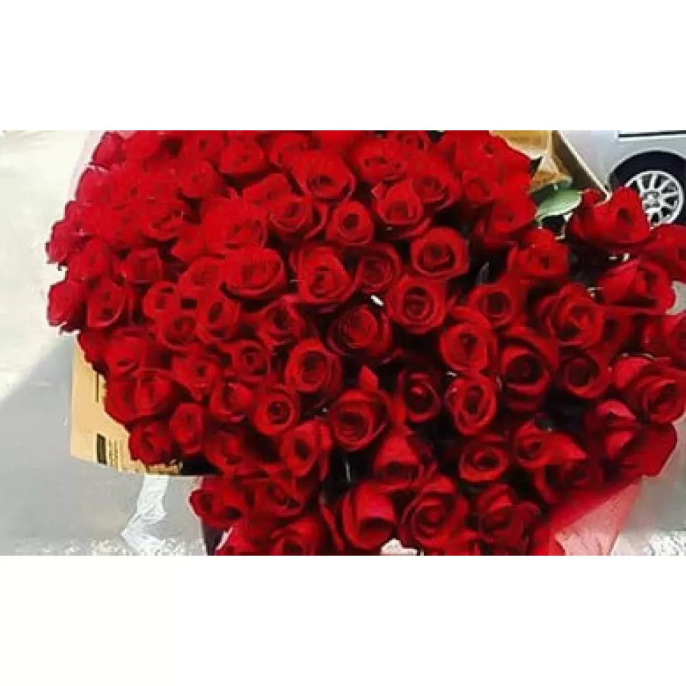 《記念日に届くお花シリーズ》赤バラの花束 108本「結婚して下さい」※配達エリア限定【記念日に届くお花 108本 世界らん展 フラワードリームジャパンカップ 国内主要コンテスト受賞 贈り物 神奈川県 小田原市 】