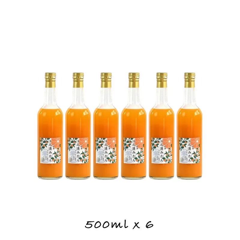 小田原産江之浦みかん１００％ストレートジュース５００ml６本