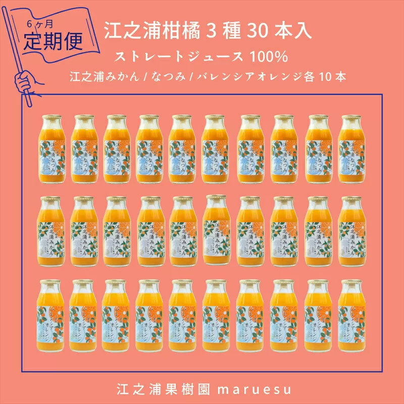 【定期便 6回】 小田原産江之浦みかんジュース３種のみくらべ３０本セット うんしゅう・なつみ・バレンシアオレンジ１００％ストレートジュース１８０ml各１０本合計３０本