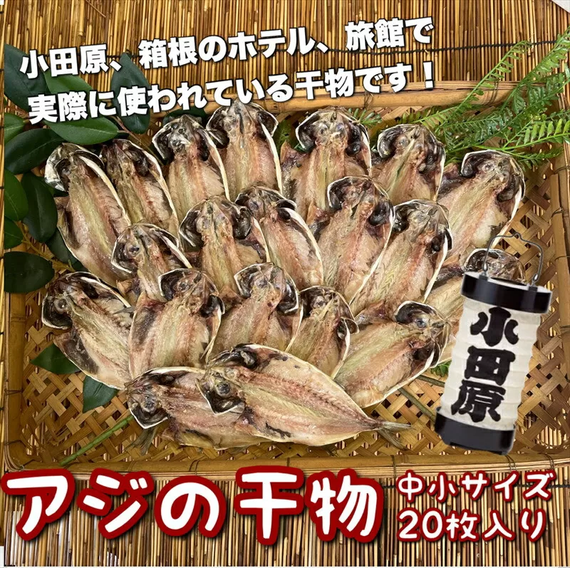 鯵の干物 中小サイズ 20枚セット