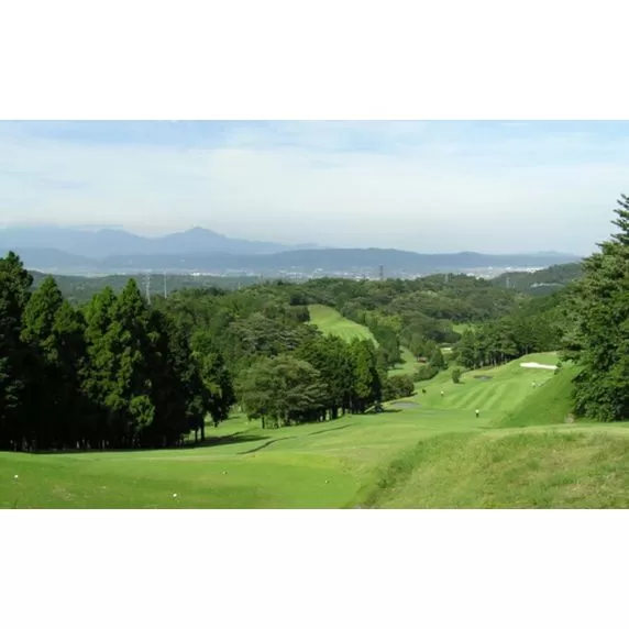 平日１ラウンドセルフプレー券