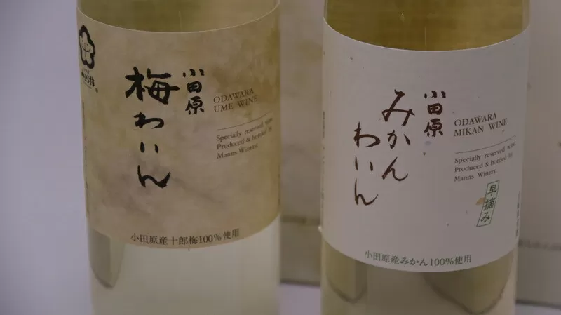 城下町小田原の飲み比べわいんBセット（2本セット)