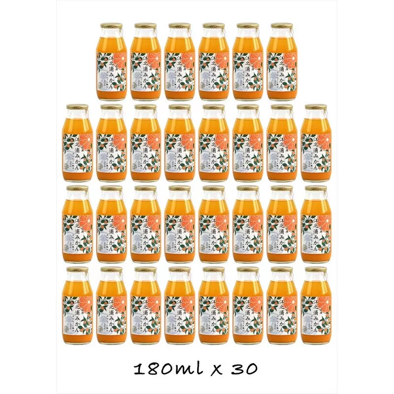 【定期便 （2カ月ごと全6回）】小田原産江之浦みかん１００％ストレートジュース１８０ml３０本