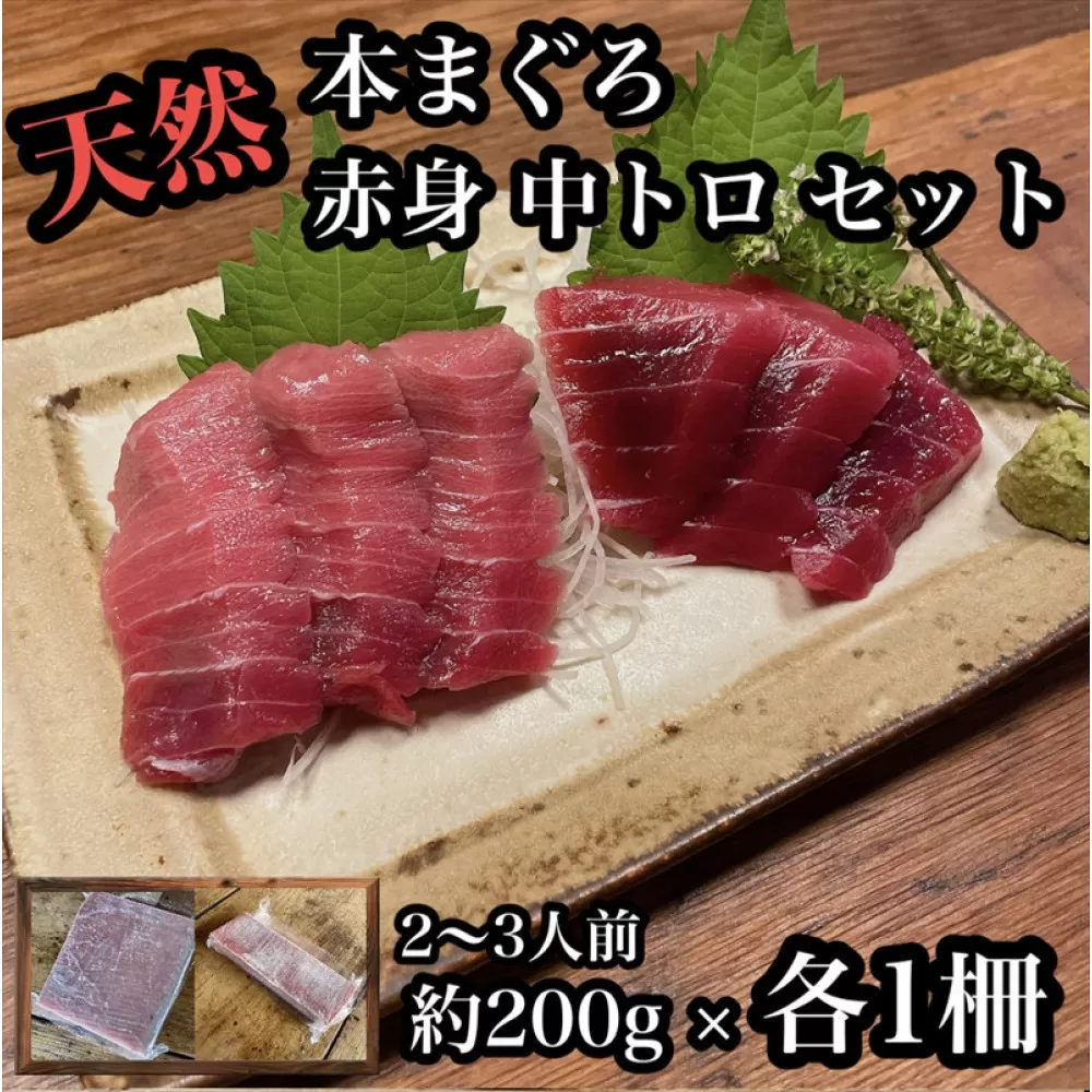 貴重な天然本鮪 赤身 約200g 中トロ 約200g 各1柵 2 3人前●赤身はマグロの中心部天身を使用！中とろの脂はくどくない上質な脂！【赤身 天身 惣菜 海鮮 お取り寄せ 御中元 お中元 お歳暮 父の日 母の日 贈り物 日本酒 焼酎】【神奈川県小田原市早川】