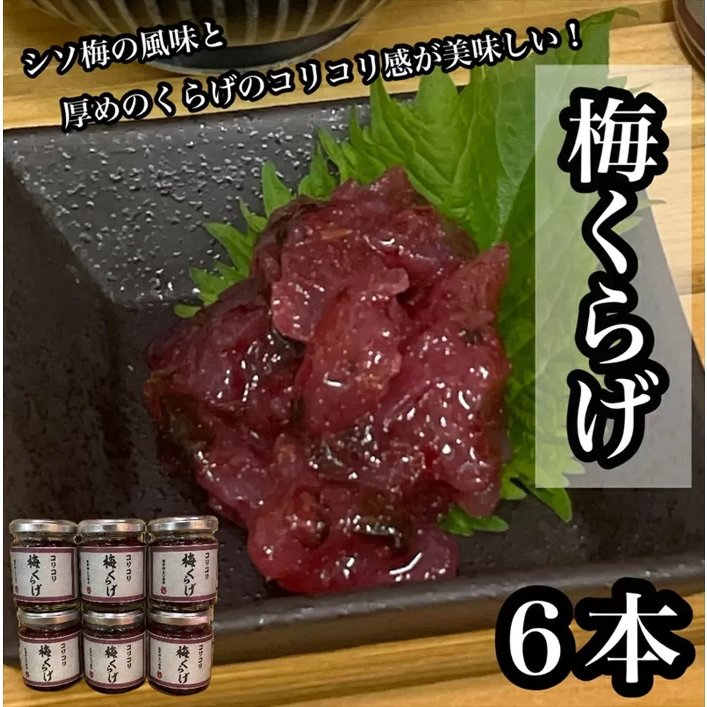 梅くらげ 6本【くらげ 珍味 おつまみ 梅しそ 惣菜 海鮮 塩辛 珍味 お取り寄せ 御中元 お中元 お歳暮 父の日 母の日 贈り物 日本酒 焼酎】【神奈川県小田原市早川】