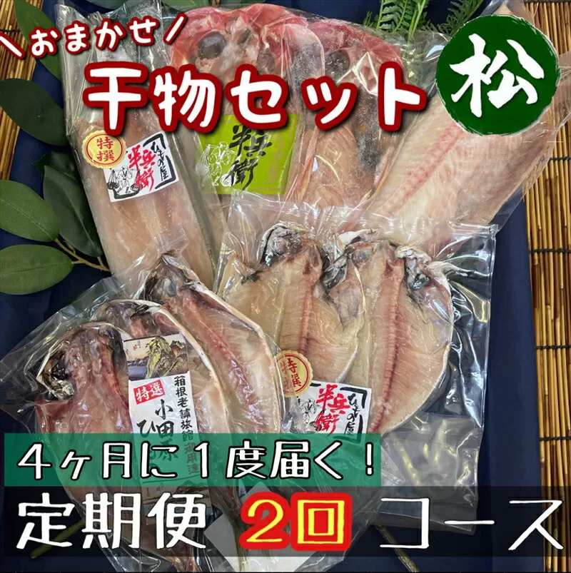 【4ヶ月に1回定期便2回】厳選！小田原の旬の干物セット 松【 まぐろや 神奈川県小田原市 】
