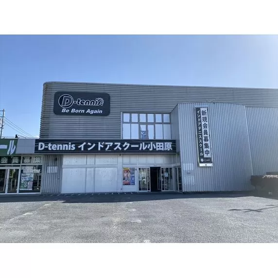 D-テニス小田原　会員限定　プラスワンチケット　１枚　ジュニア