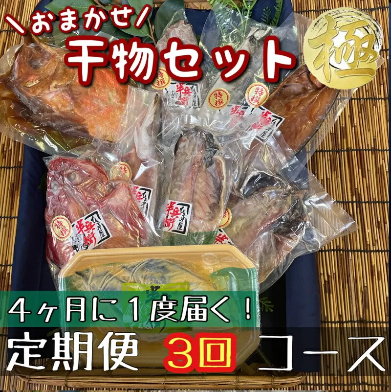 【4ヶ月に1回定期便3回】厳選！小田原の旬の干物セット 極【 まぐろや 神奈川県小田原市 】