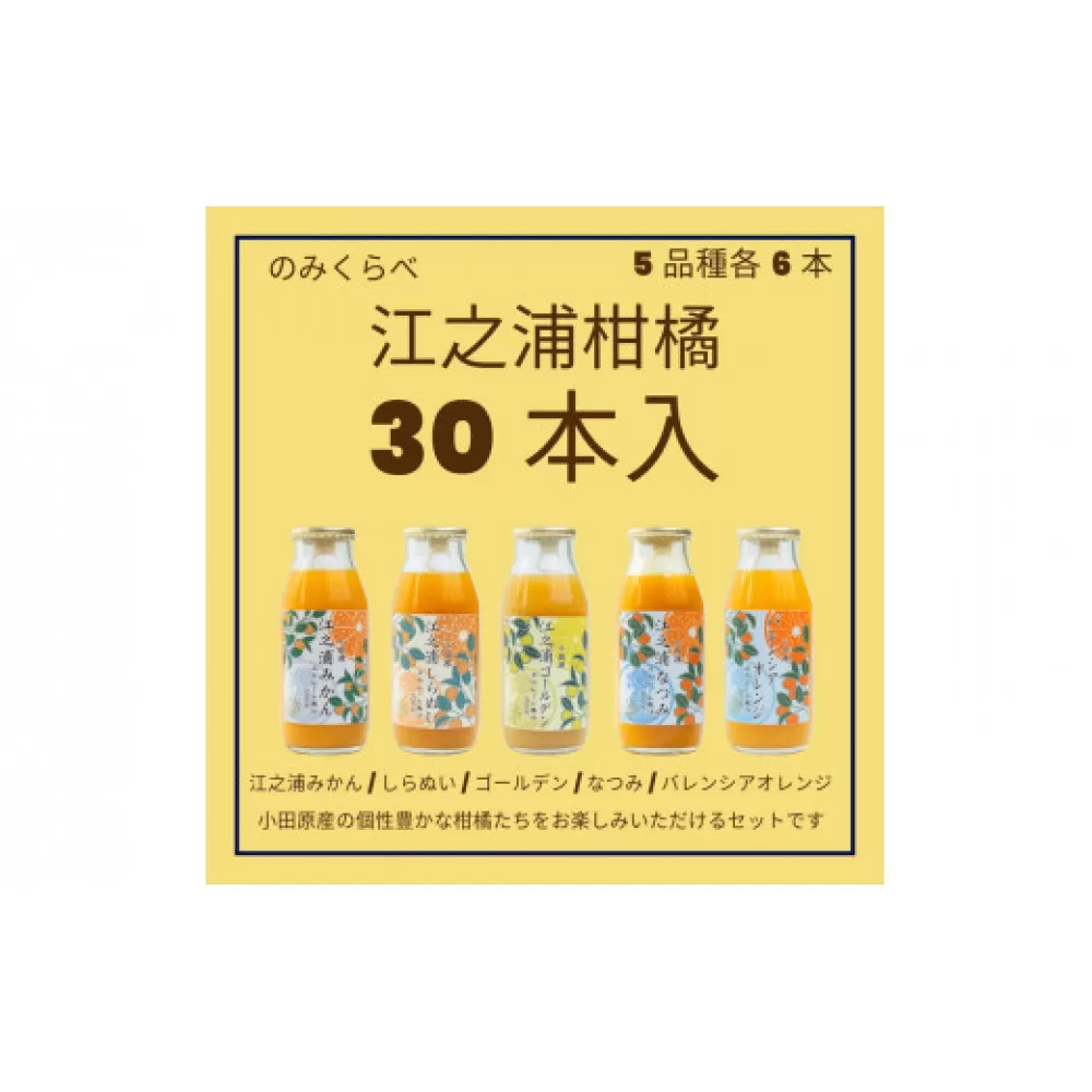 小田原産江之浦みかんジュース５種のみくらべ３０本セット うんしゅう・しらぬい・ゴールデン・なつみ・バレンシアオレンジ１００％ストレートジュース１８０ml各６本合計３０本