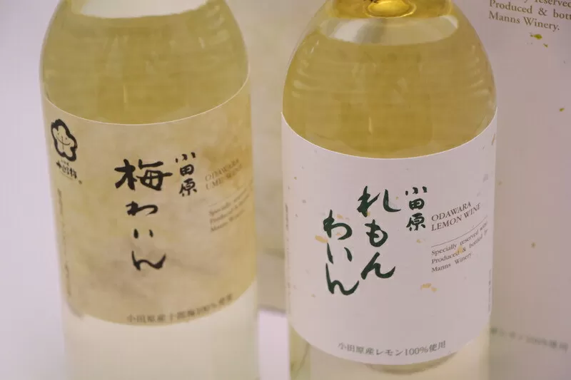 城下町小田原の飲み比べわいんＡセット(2本セット)
