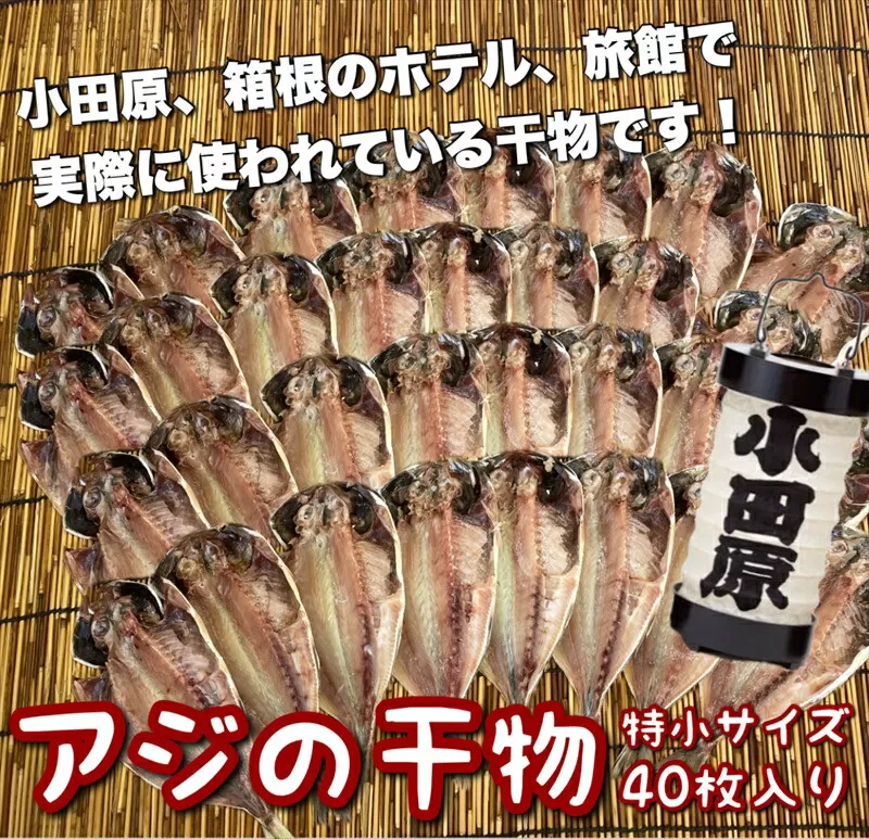 鯵の干物 特小サイズ 40枚セット